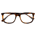 Sydney__eyeglasses__BRN